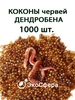 Интернет‑магазин Wildberries: широкий ассортимент товаров - скидки каждый день!